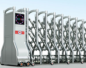 ���P���s�T�L(f��ng)����̖